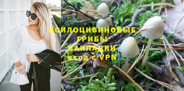 гидра Алзамай
