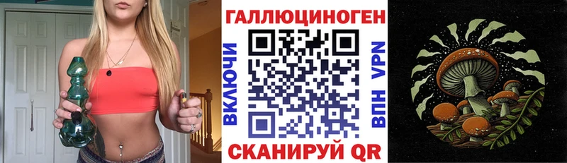 купить закладку  Каневская  Галлюциногенные грибы Psilocybe 